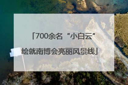 700余名“小白云”绘就南博会亮丽风景线