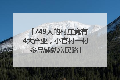 749人的村庄竟有4大产业，小官村一村多品铺就富民路