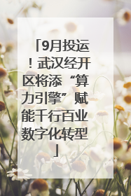 9月投运！武汉经开区将添“算力引擎”赋能千行百业数字化转型