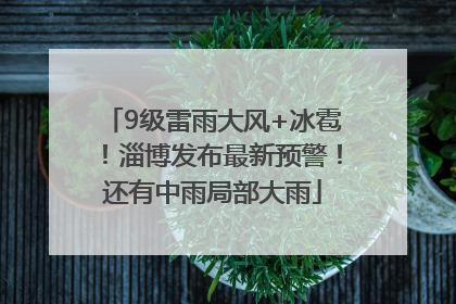 9级雷雨大风+冰雹！淄博发布最新预警！还有中雨局部大雨