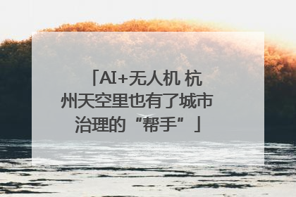 AI+无人机 杭州天空里也有了城市治理的“帮手”