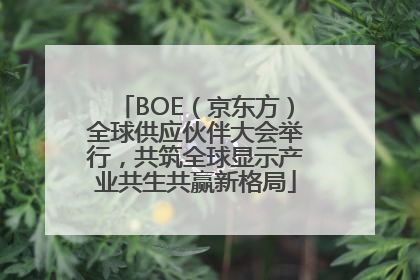 BOE（京东方）全球供应伙伴大会举行，共筑全球显示产业共生共赢新格局