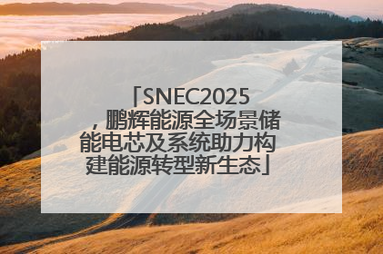 SNEC2025，鹏辉能源全场景储能电芯及系统助力构建能源转型新生态