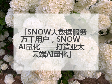 SNOW大数据服务万千用户，SNOW AI量化——打造亚太云端AI量化